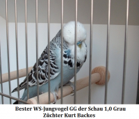 16. Zuechtertr. 002.png